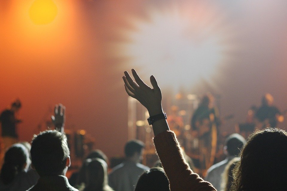 Music Crowd Fans