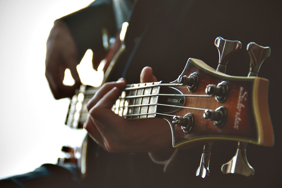 Guitarist, Guitar, Playing, Musician, Music, Instrument